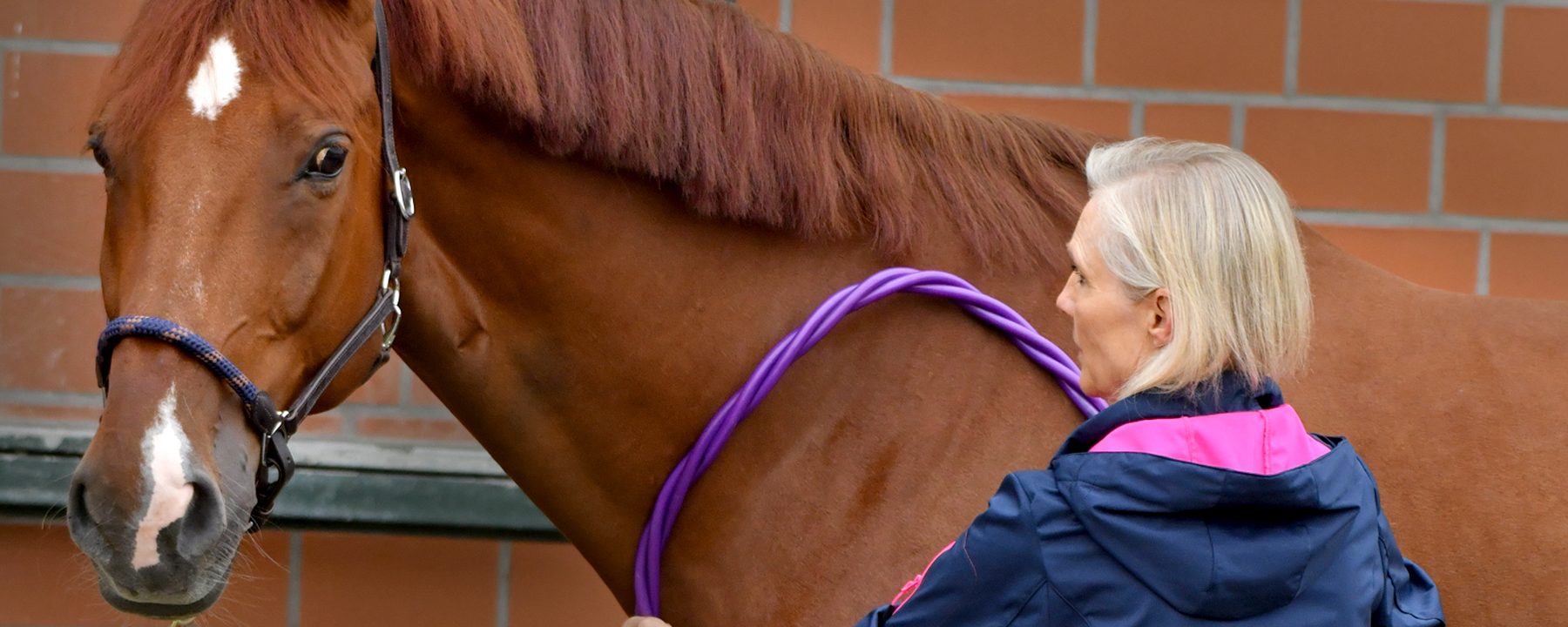 Image_WerBinIch_1800x1200