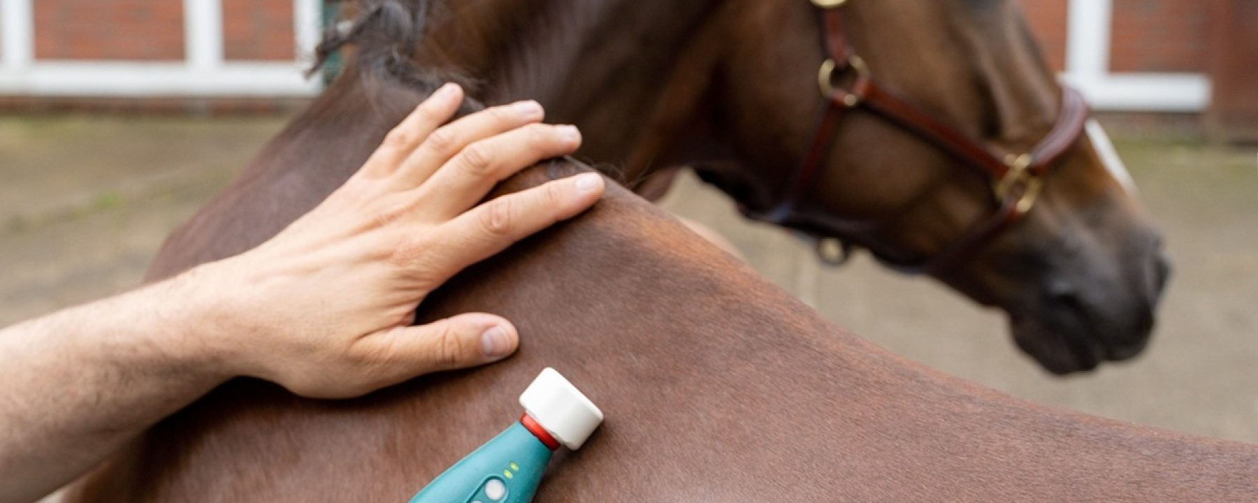 MaRhyThe-Systems_TK_5511_veterinär