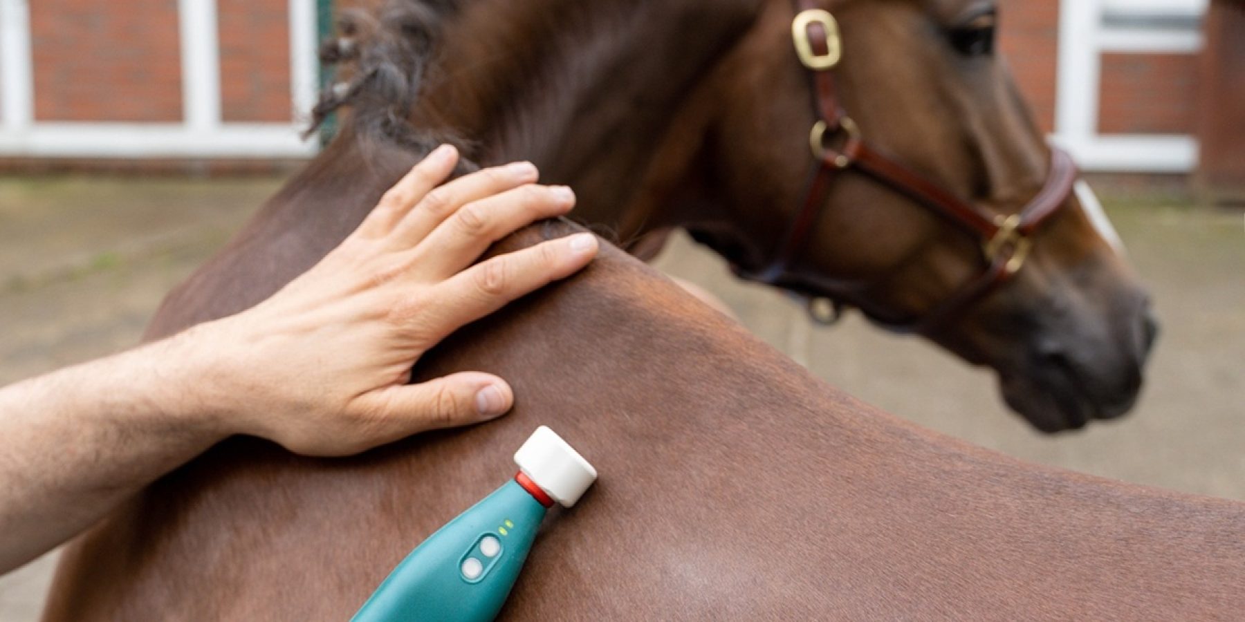 MaRhyThe-Systems_TK_5511_veterinär